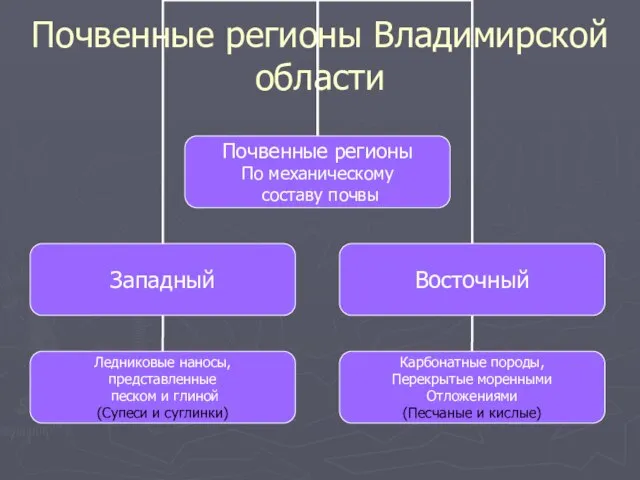 Почвенные регионы Владимирской области