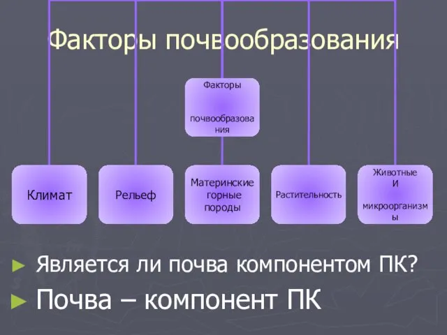 Факторы почвообразования Является ли почва компонентом ПК? Почва – компонент ПК