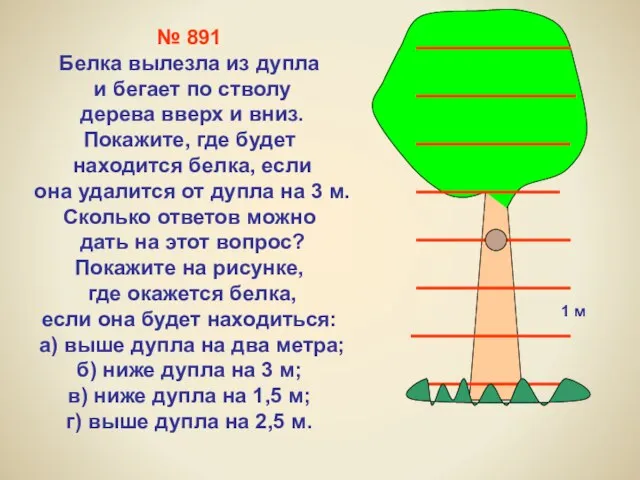 1 м № 891 Белка вылезла из дупла и бегает по стволу