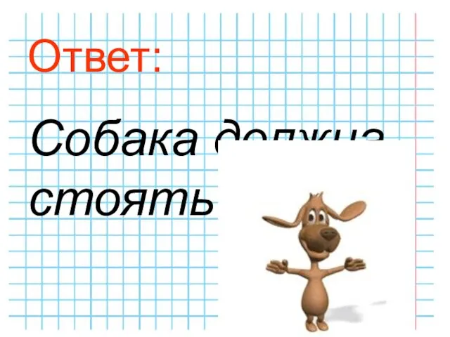 Ответ: Собака должна стоять