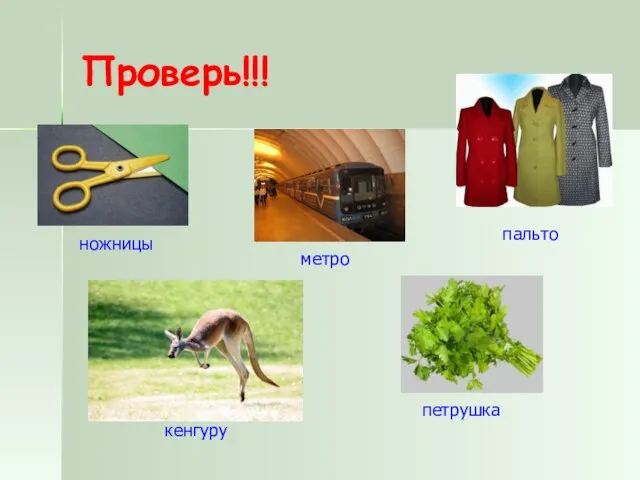 Проверь!!! ножницы метро пальто кенгуру петрушка