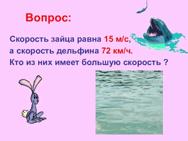 Вопрос: Скорость зайца равна 15 м/с, а скорость дельфина 72 км/ч. Кто
