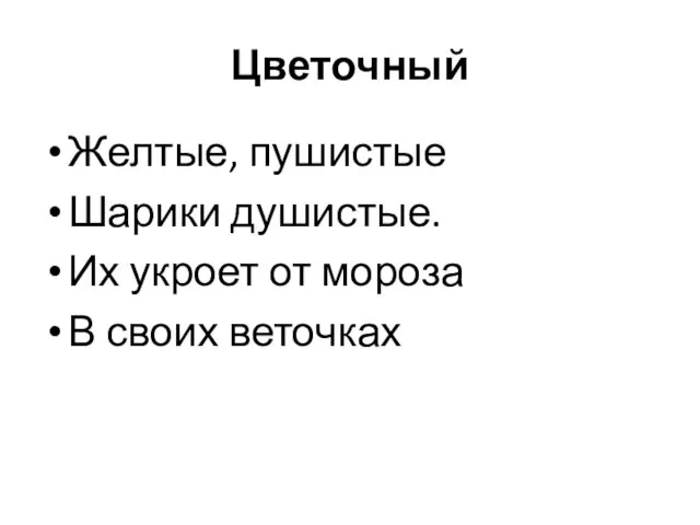 Цветочный Желтые, пушистые Шарики душистые. Их укроет от мороза В своих веточках