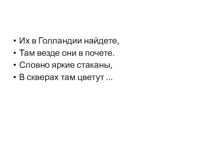 Их в Голландии найдете, Там везде они в почете. Словно яркие стаканы,