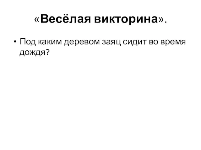 «Весёлая викторина». Под каким деревом заяц сидит во время дождя?