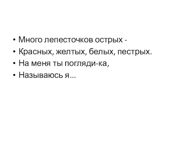 Много лепесточков острых - Красных, желтых, белых, пестрых. На меня ты погляди-ка, Называюсь я...