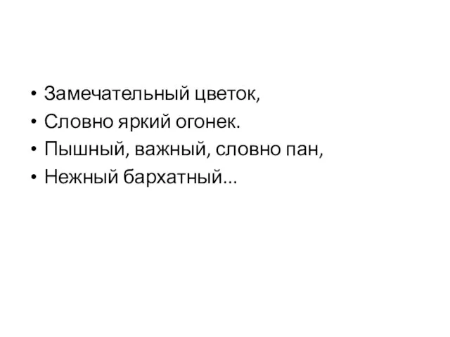 Замечательный цветок, Словно яркий огонек. Пышный, важный, словно пан, Нежный бархатный...