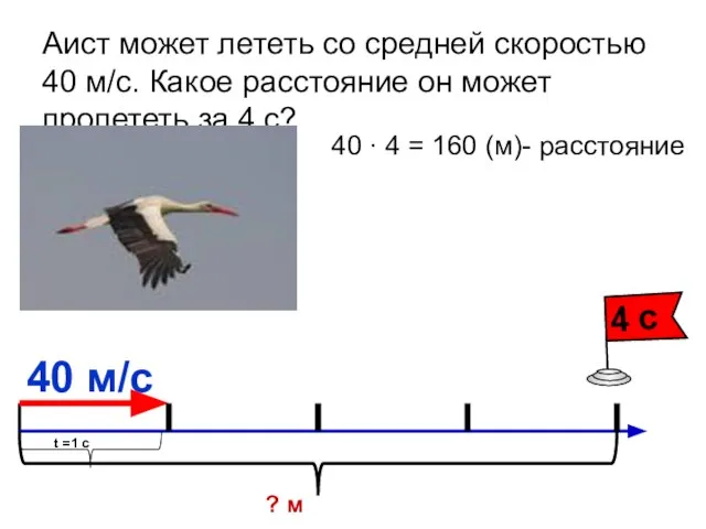 Аист может лететь со средней скоростью 40 м/с. Какое расстояние он может