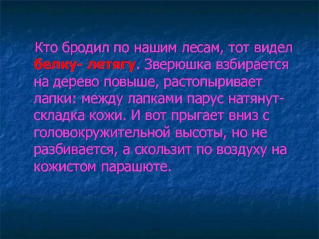 Кто бродил по нашим лесам, тот видел белку- летягу. Зверюшка взбирается на