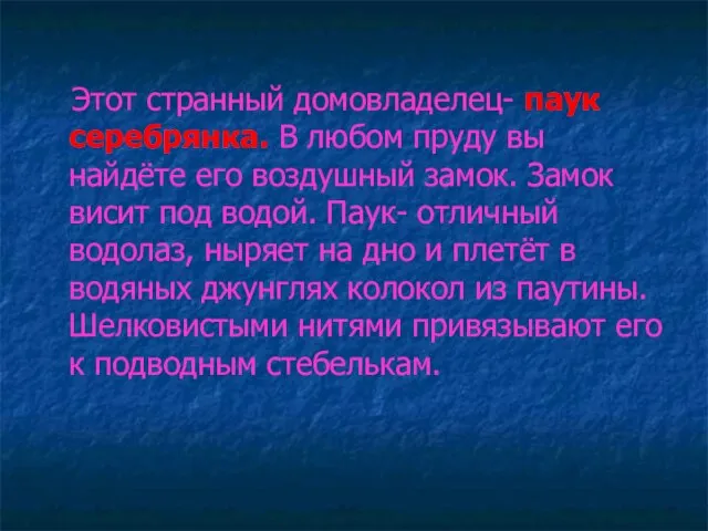 Этот странный домовладелец- паук серебрянка. В любом пруду вы найдёте его воздушный