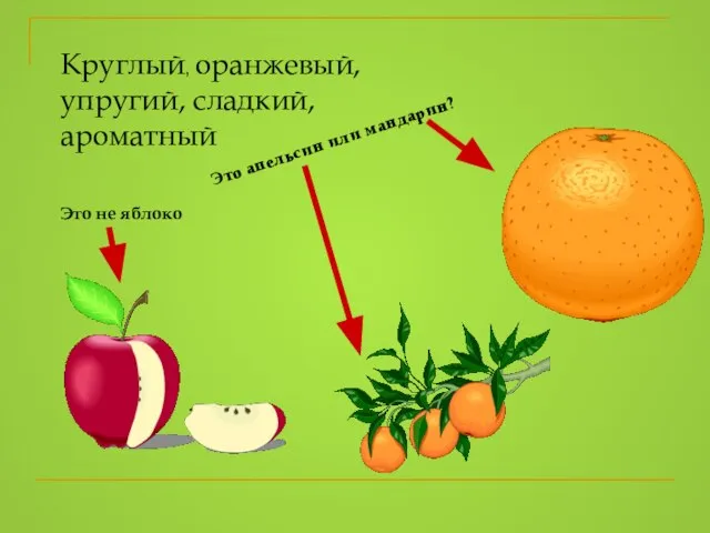 Круглый, оранжевый, упругий, сладкий, ароматный Это апельсин или мандарин? Это не яблоко