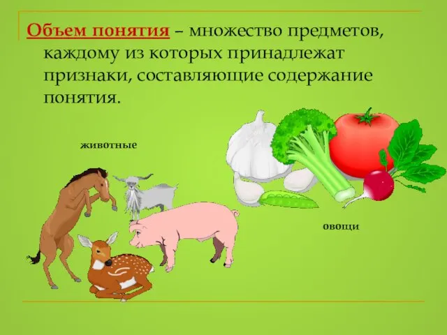 Объем понятия – множество предметов, каждому из которых принадлежат признаки, составляющие содержание понятия. овощи животные
