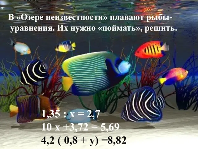 В «Озере неизвестности» плавают рыбы- уравнения. Их нужно «поймать», решить. 1,35 :