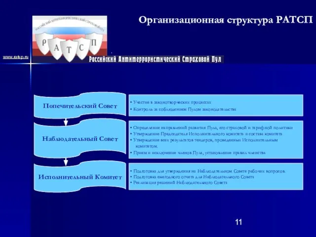 Организационная структура РАТСП . Попечительский Совет Наблюдательный Совет Исполнительный Комитет Участие в