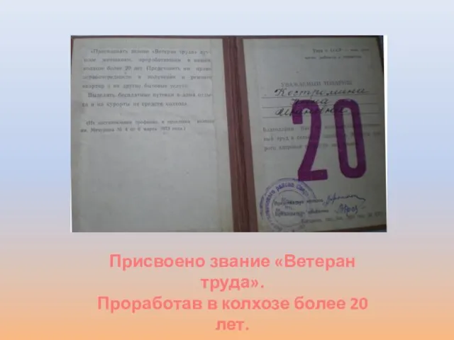 Присвоено звание «Ветеран труда». Проработав в колхозе более 20 лет.