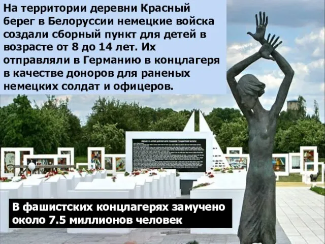 На территории деревни Красный берег в Белоруссии немецкие войска создали сборный пункт