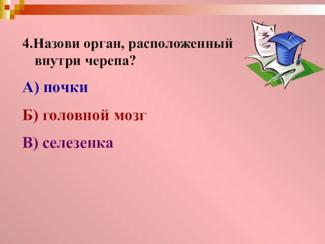 4.Назови орган, расположенный внутри черепа? А) почки Б) головной мозг В) селезенка