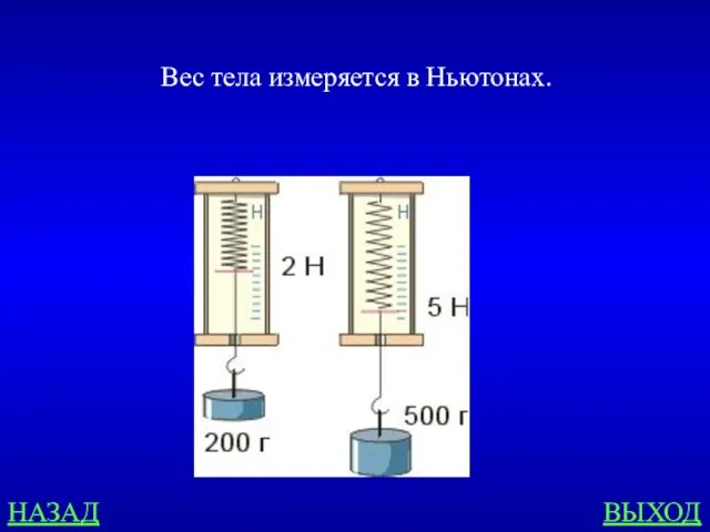 НАЗАД ВЫХОД Вес тела измеряется в Ньютонах.