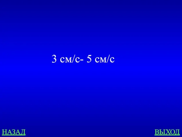 НАЗАД ВЫХОД 3 см/c- 5 см/с