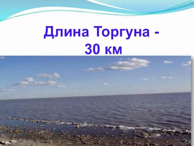 Длина Торгуна - 30 км