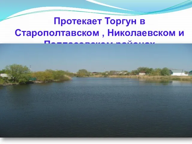 Протекает Торгун в Старополтавском , Николаевском и Палласовском районах