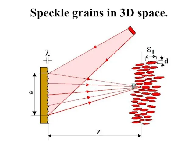 Speckle grains in 3D space.