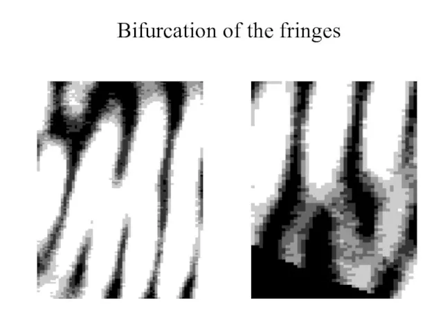 Bifurcation of the fringes