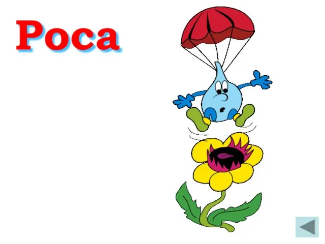 Роса