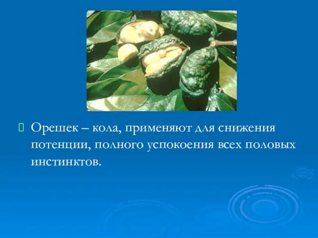 Орешек – кола, применяют для снижения потенции, полного успокоения всех половых инстинктов.