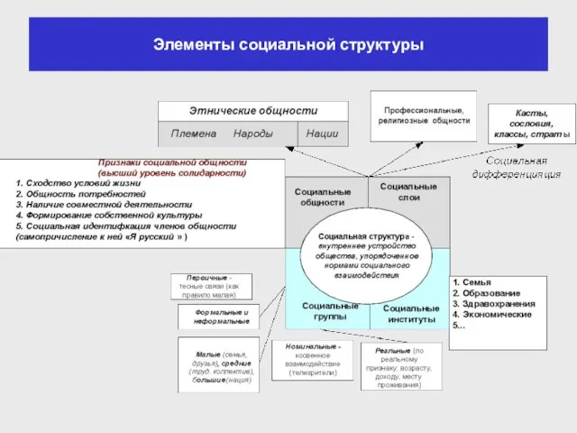 Элементы социальной структуры