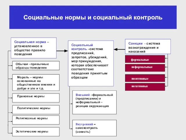 Социальные нормы и социальный контроль Социальная норма – установленное в обществе правило