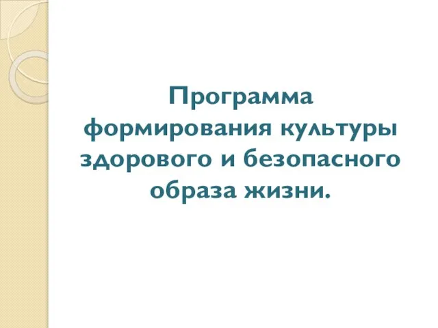 Программа формирования культуры здорового и безопасного образа жизни.