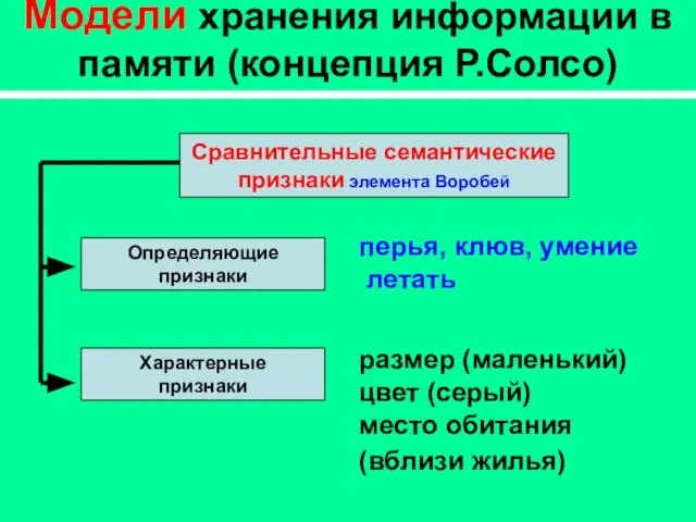 Модели хранения информации в памяти (концепция Р.Солсо) перья, клюв, умение летать размер