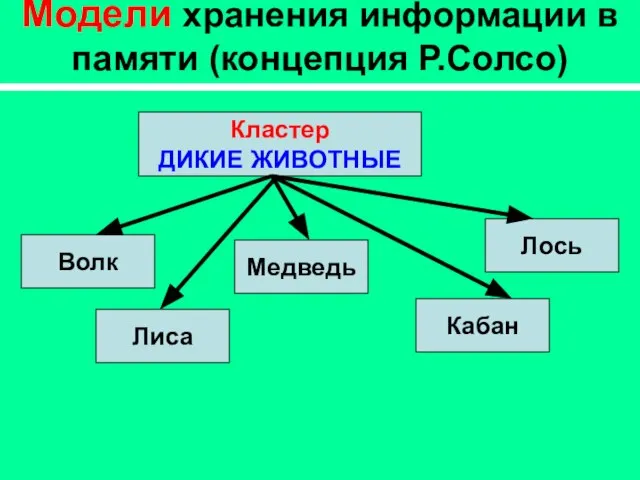 Модели хранения информации в памяти (концепция Р.Солсо) Кластер ДИКИЕ ЖИВОТНЫЕ Волк Медведь Лось Кабан Лиса