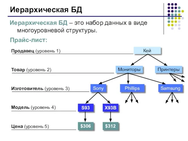 Иерархическая БД Иерархическая БД – это набор данных в виде многоуровневой структуры.