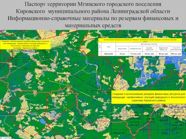 Паспорт территории Мгинского городского поселения Кировского муниципального района Ленинградской области Информационно-справочные материалы