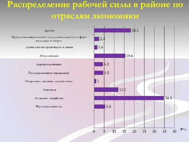 Распределение рабочей силы в районе по отраслям экономики