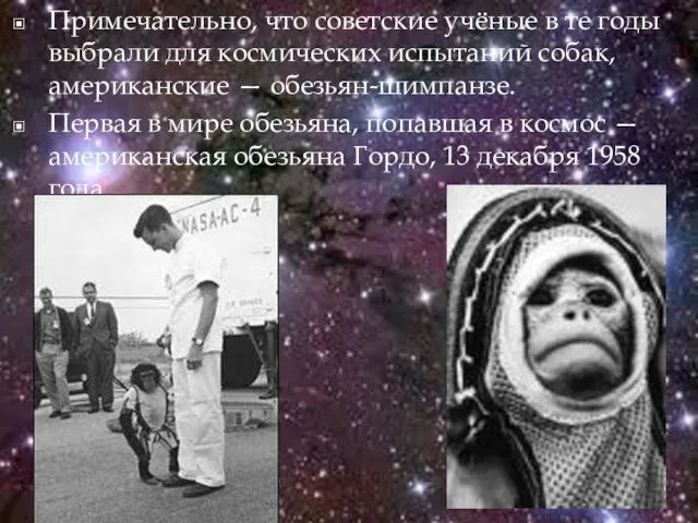 Примечательно, что советские учёные в те годы выбрали для космических испытаний собак,