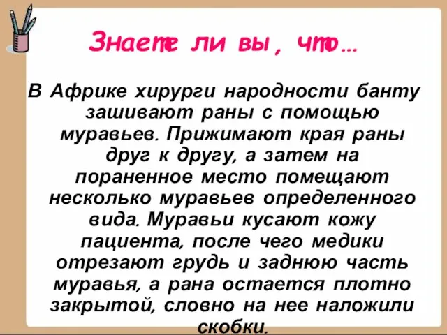 Знаете ли вы, что… В Африке хирурги народности банту зашивают раны с