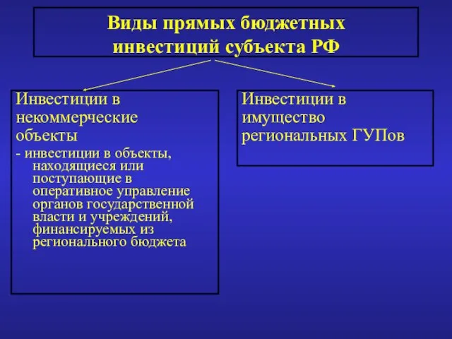 Виды прямых бюджетных инвестиций субъекта РФ Инвестиции в некоммерческие объекты - инвестиции