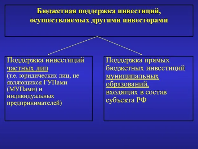 Бюджетная поддержка инвестиций, осуществляемых другими инвесторами Поддержка инвестиций частных лиц (т.е. юридических