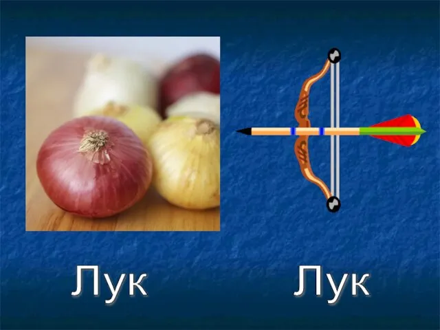 Лук Лук