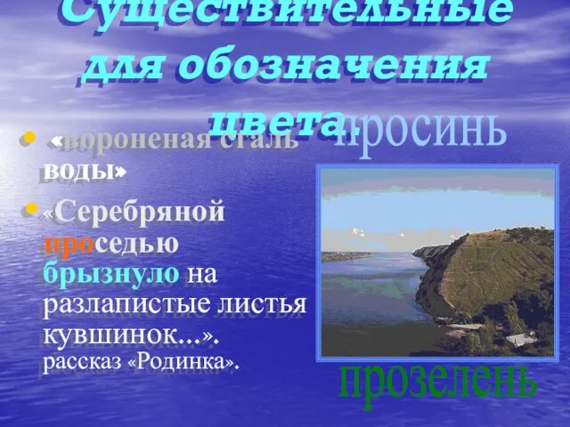 Существительные для обозначения цвета. «вороненая сталь воды» «Серебряной проседью брызнуло на разлапистые