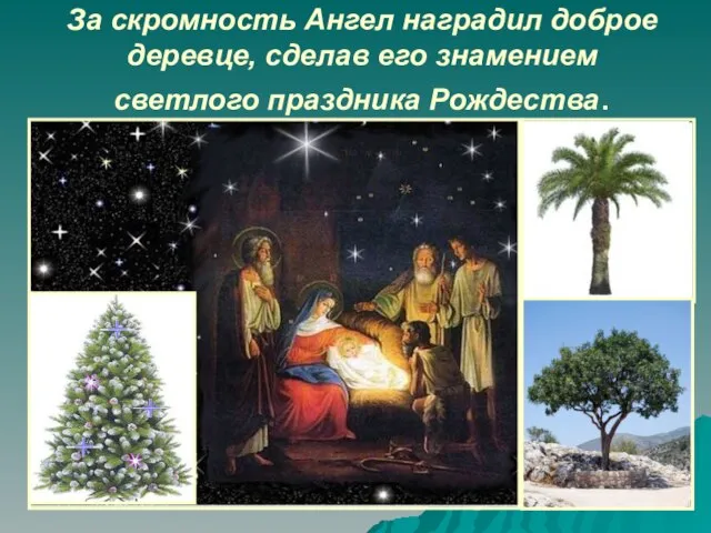 За скромность Ангел наградил доброе деревце, сделав его знамением светлого праздника Рождества.