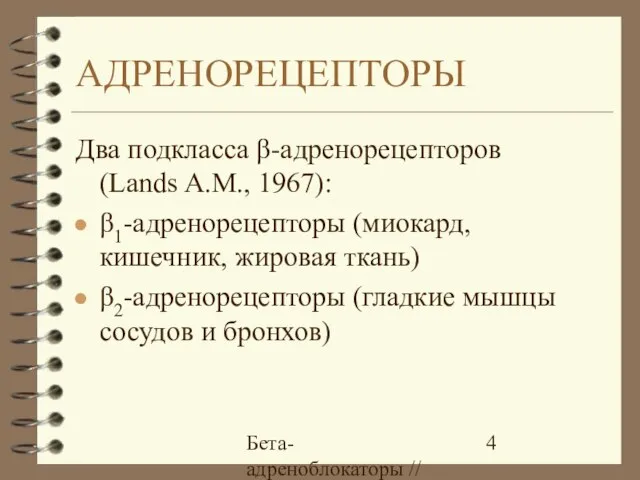 Бета-адреноблокаторы // А.Е. Карелов, МАПО, Санкт-Петербург АДРЕНОРЕЦЕПТОРЫ Два подкласса β-адренорецепторов (Lands A.M.,