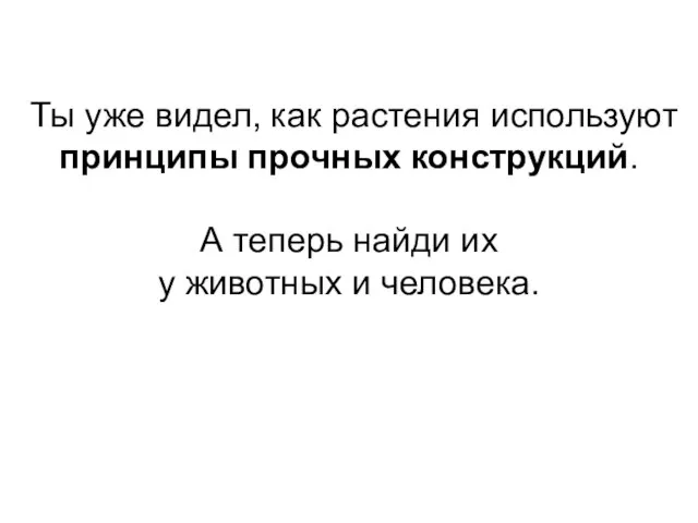 Ты уже видел, как растения используют принципы прочных конструкций. А теперь найди