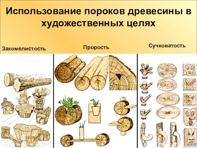 Использование пороков древесины в художественных целях Использование пороков древесины в художественных целях Закомелистость Прорость Сучковатость