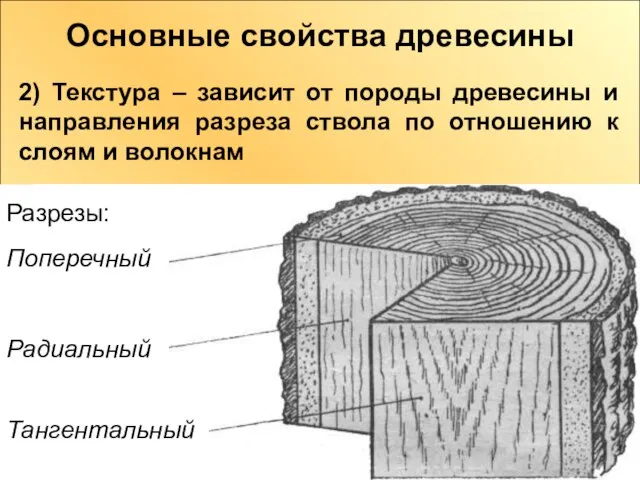 Основные свойства древесины 2) Текстура – зависит от породы древесины и направления