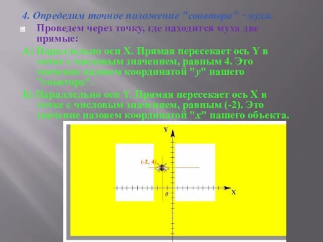 4. Определим точное положение "соавтора" ‑ мухи. Проведем через точку, где находится