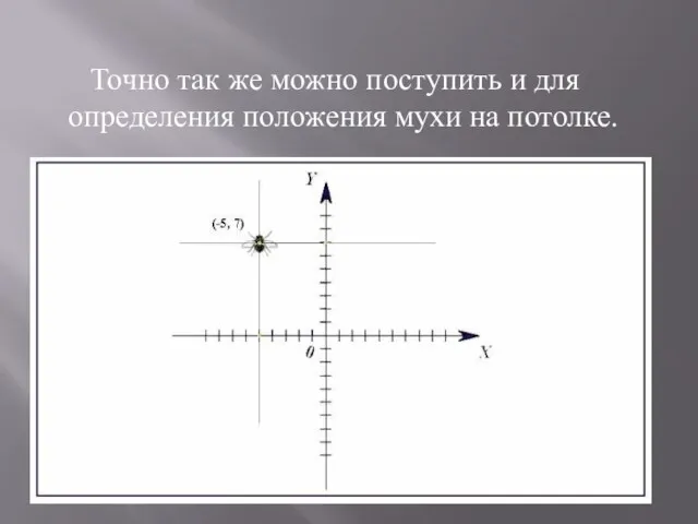 Точно так же можно поступить и для определения положения мухи на потолке.